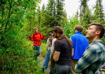 3 Hour Easy Denali Hiking Tour 2
