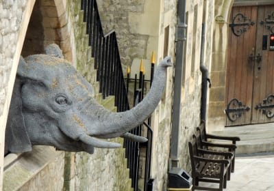 Ticket to Tower of London and Self-Guided Tours in London 2