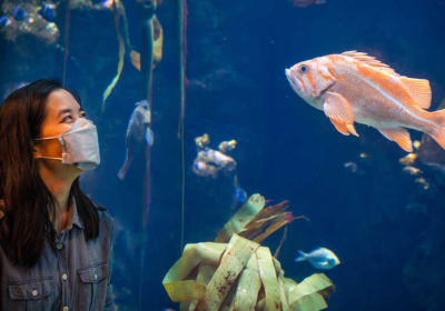 NightLife at California Academy of Sciences 2