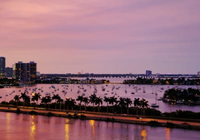 Scenic Miami Night Tour 2