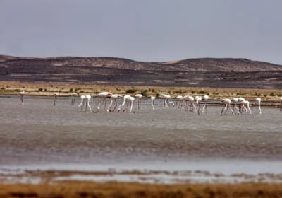 6 Days Morocco tour from Casablanca 2