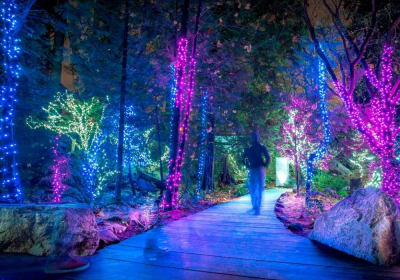 Vancouver City & Capilano Canyon Lights Tour 2