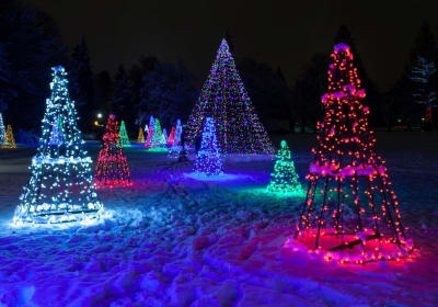 Niagara Falls Festival of Winter Lights Tour 2