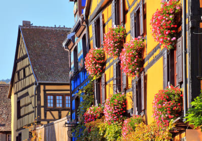 Highlights of Alsace From Mulhouse (private) 2