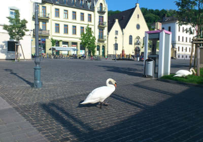 Koblenz Private Guided Walking Tour 2