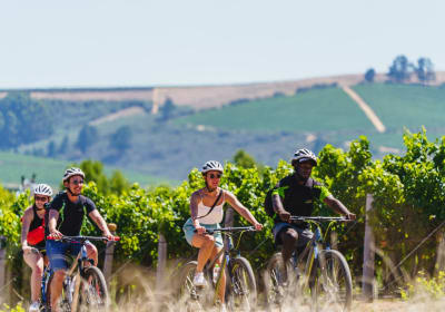Photo of a group of cyclists on EBikes riding with a tour guide through the vineyards.