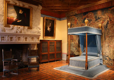Chenonceau Castle A Half Day Trip from Tours (private) 2