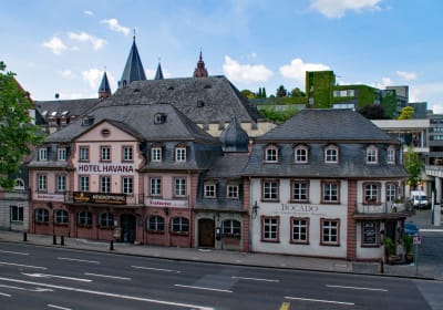 Mainz Private Guided Walking Tour 2