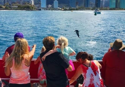 Waikiki Glass Bottom Boat Tour 2