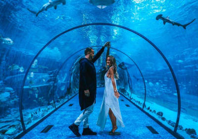 The National Aquarium Abu Dhabi - Clone 2