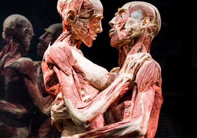 BODY WORLDS Amsterdam 2