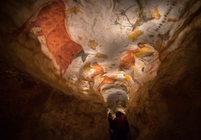 Prehistoric animal paintings in the Lascaux cave replica