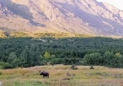 Chugach Mountain Bike Tour 2