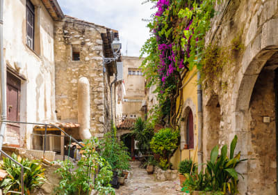 Saint-Paul de Vence Wine Tour HD Trip from Nice (shared) 2