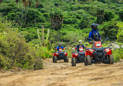  ATV Tours and Excursions in Cabo San Lucas 2