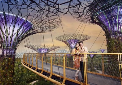 Gardens by the Bay Admission Tickets 2