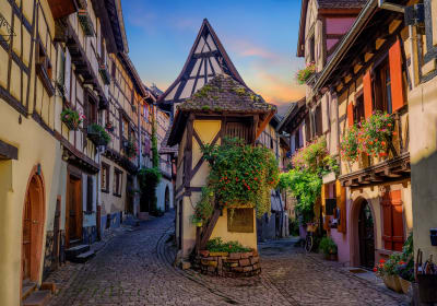 Highlights of Alsace From Riquewihr (private) 2