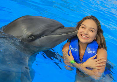 Dolphin Signature Swim 2
