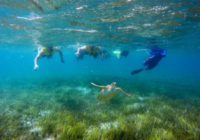 Private Reef Snorkeling in Puerto Morelos 2