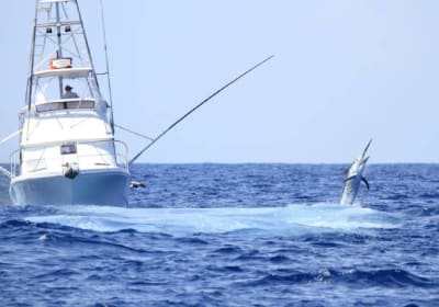 Deep Sea Fishing Charters Adventure 2