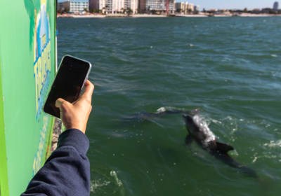 Clearwater Beach  2