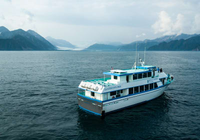 Kenai Fjords Tours 2