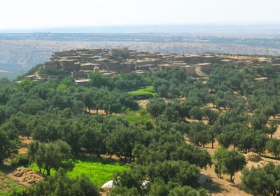 Marrakech to Ourika Valley: One-Day Trip. 2