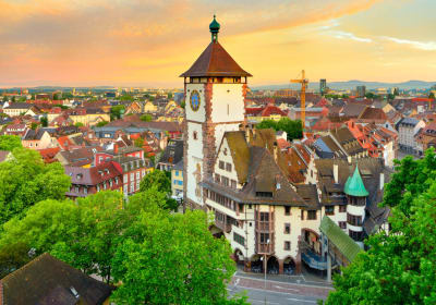 Freiburg & Black Forest Day Trip from Colmar (Private) 2