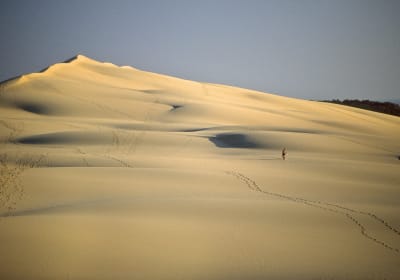 Panoramic view from the top of Dune du Pilat over the ocean and forest