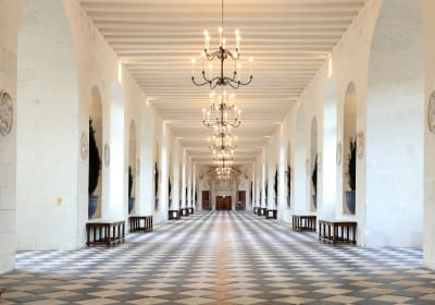 Chaumont and Chenonceau Full Day Trip from Tours (private) 2