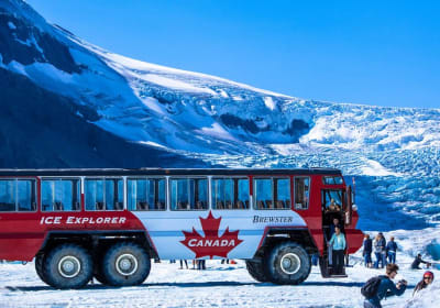 Columbia Icefield Discovery with Skywalk from Banff 2