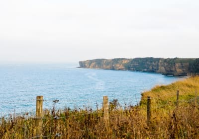 Normandy D-Day Tour From Paris 2