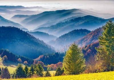 Baden-Baden & Black Forest Tour from Strasbourg (private) 2