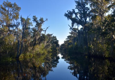 New Orleans Small Airboat Ride 2
