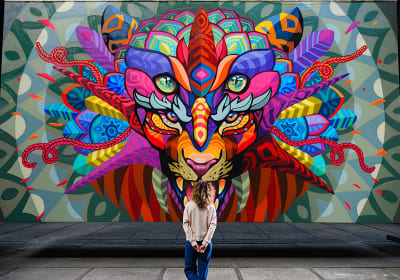 STRAAT Museum – Street Art And Graffiti 2