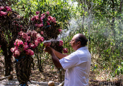 Monkey Sanctuary & Lunch at Mayan Family - Private Excursion 2