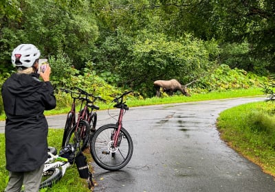 Coastal Cruise Bike Tour 2