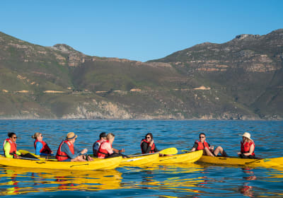 Photo of a tour group sitting in yellow kayaks pausing for a conversation in calm blue waters in Hout Bay with Chapman's Peak mountain in the background.
