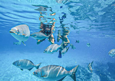 Private Dream Cozumel Island Snorkeling 2