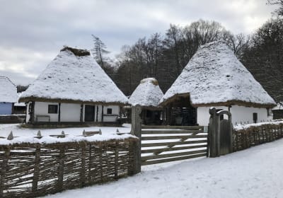 Walking Tour In The Traditional Folk Open Air Museum Astra 2