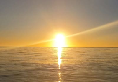 Sunset and Dolphin Cruise 2