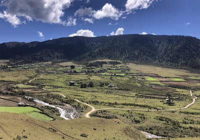 Paro Festival 2