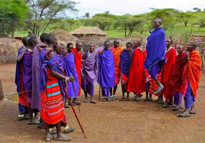 2 Days Tanzania Safari Tarangire and Ngorongoro 2