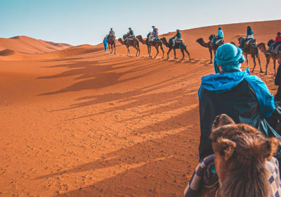 12 Day Casablanca Desert Adventure. 2