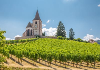 Grands Crus Alsace Wine Tour From Riquewihr (Private) 2