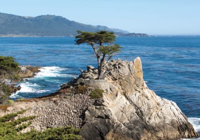 Iconic twisted cypress tree on rocky coastal cliff overlooking blue ocean and forested mountains