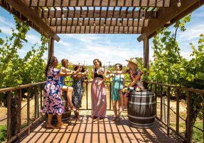 Temecula Winery Tour Lunch and Tastings Included 2