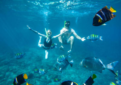 All Inclusive Snorkel and Arch Adventure 2