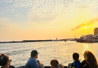 Public Destin Sunset and Dolphin Cruise (16 Passengers Max) 2