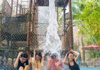 Adventure Cove Water Park 2